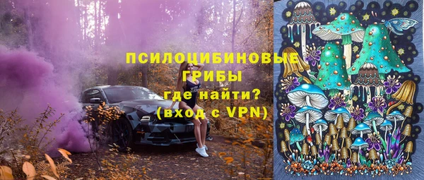 трава Беломорск